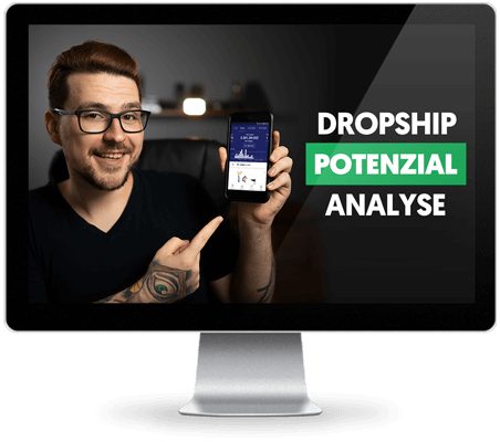 Dropshipping Potenzial Analyse